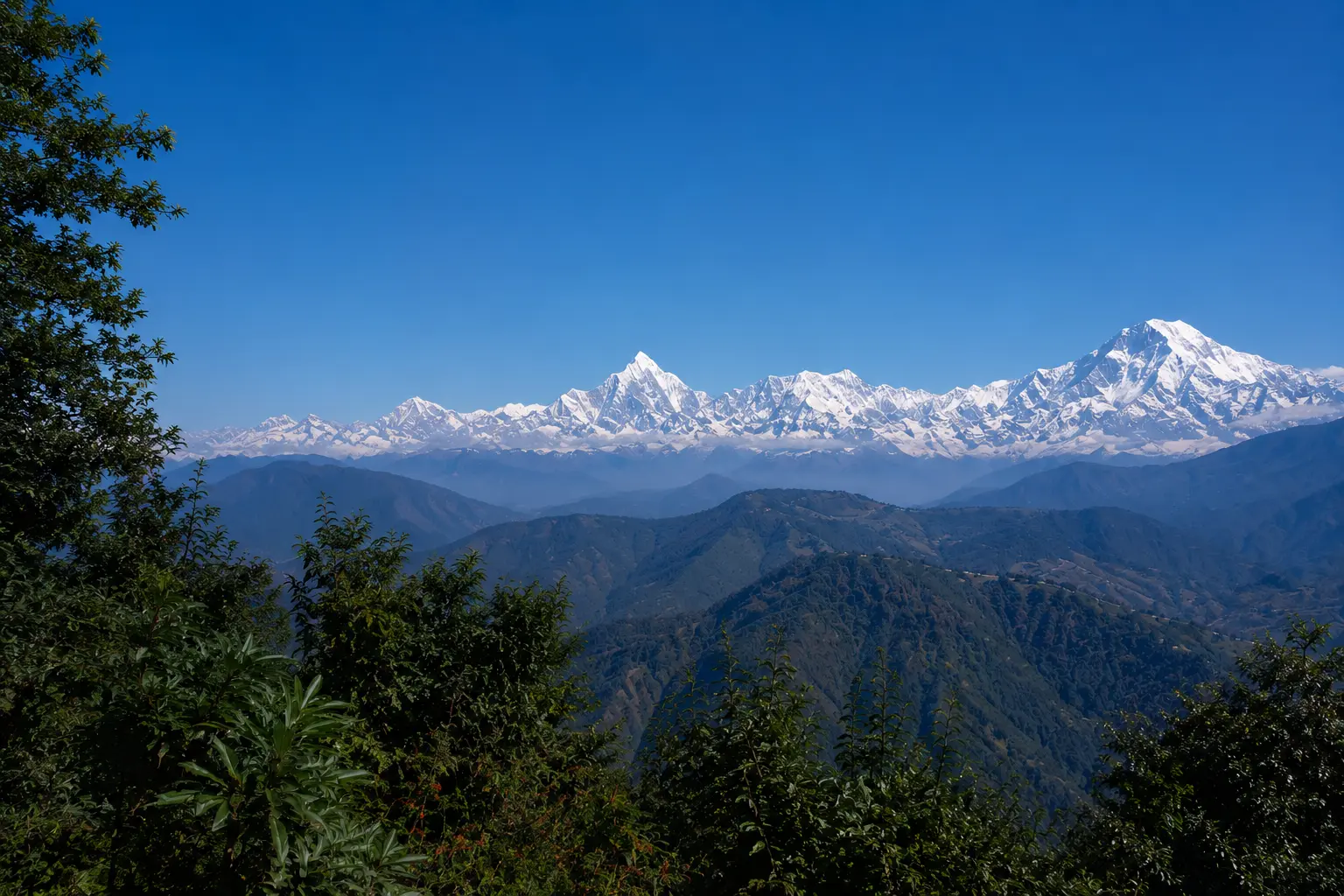 Sunrise over Himalayan peaks and pine forest viewed from the homestay terrace